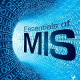 Test Bank for Essentials of MIS 11th Edition