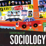 Test Bank for Essentials of Sociology, 13th Edition by James M. Henslin