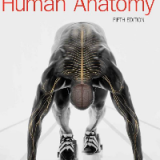 Test Bank for Human Anatomy 5th Edition