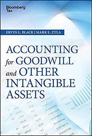 (eBook PDF)Accounting for Goodwill and Other Intangible Assets by Ervin L. Black , Mark L. Zyla
