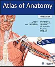 (eBook PDF)Atlas of Anatomy 3rd Edition by Anne M Gilroy , Brian R MacPherson , Michael Schuenke , Erik Schulte , Udo Schumacher