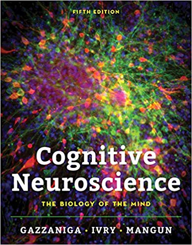 (eBook PDF)Cognitive Neuroscience The Biology of the Mind 5th Edition by Michael Gazzaniga , Richard B. Ivry , George R. Mangun Ph.D.