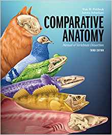 (eBook PDF)Comparative Anatomy: Manual of Vertebrate Dissection, 3rd Edition  by Dale W. Fishbeck , Aurora Sebastiani