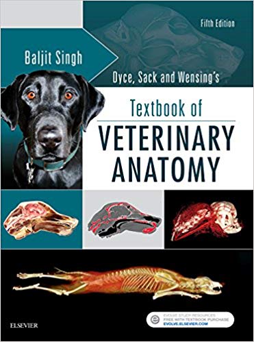 (eBook PDF)Dyce, Sack, and Wensing s Textbook of Veterinary Anatomy, 5e by Baljit Singh BVSc & AH MVSc PhD FAAA 3M National Teaching Fellow