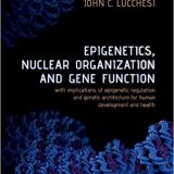 (eBook PDF)Epigenetics, Nuclear Organization & Gene Function by John C. Lucchesi