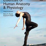 (eBook PDF)Essentials of Human Anatomy and Physiology 12th Global ed by Elaine N. Marieb , Suzanne M. Keller