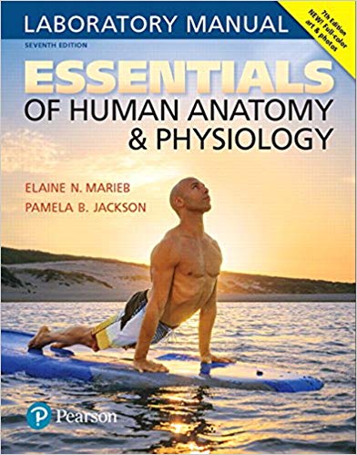 (eBook PDF)Essentials of Human Anatomy and Physiology Laboratory Manual 7th Edition by Elaine N. Marieb , Pamela B. Jackson