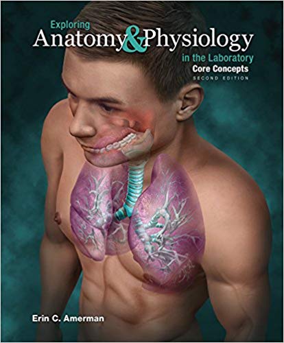 (eBook PDF)Exploring Anatomy and Physiology in the Laboratory: Core Concepts 2nd Edition by Erin C. Amerman