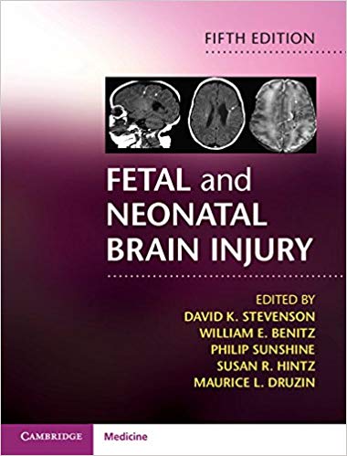 (eBook PDF)Fetal and Neonatal Brain Injury 5th Edition by David K. Stevenson ,‎ William E. Benitz ,‎ Philip Sunshine ,‎ Susan R. Hintz ,‎ Maurice L. Druzin