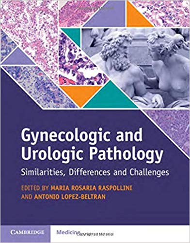 (eBook PDF)Gynecologic and Urologic Pathology: Similarities, Differences and Challenges by Maria Rosaria Raspollini , Antonio Lopez-Beltran