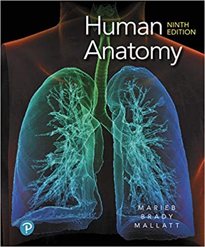 (eBook PDF)Human Anatomy, 9th Edition  by Elaine N. Marieb , Patricia M. Brady , Jon B. Mallatt