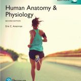 (eBook PDF)Human Anatomy Physiology 2nd Global Edition by Erin Amerman