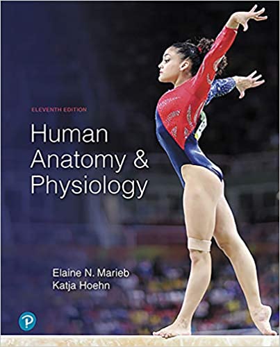 (eBook PDF)Human Anatomy and Physiology, 11th Edition  by Elaine N. Marieb ,‎ Katja N. Hoehn  Pearson; 11 edition (January 15, 2018)