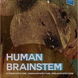 (eBook PDF)Human Brainstem Cytoarchitecture, Chemoarchitecture, Myeloarchitecture by George Paxinos , Teri Furlong , Charles Watson