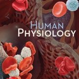 (eBook PDF)Human Physiology 15th Edition by Stuart Ira Fox, Krista Rompolski