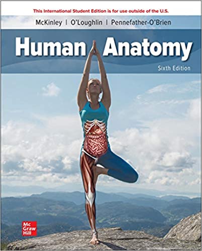 (eBook PDF)ISE Human Anatomy 6th Edition  by Michael McKinley , Valerie O Loughlin , Elizabeth Pennefather-O Brien