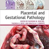 (eBook PDF)Placental and Gestational Pathology by Raymond W. Redline , Theonia K. Boyd , Drucilla J. Roberts