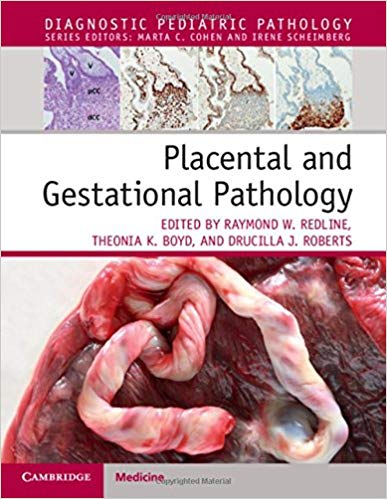 (eBook PDF)Placental and Gestational Pathology by Raymond W. Redline , Theonia K. Boyd , Drucilla J. Roberts