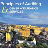 (eBook PDF)Principles of Auditing & Other Assurance Services 22E by Ray Whittington , Kurt Pany