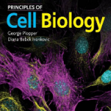 (eBook PDF)Principles of Cell Biology 3rd Edition by George Plopper,Diana Bebek Ivankovic