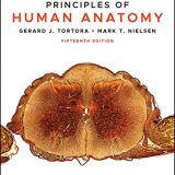 (eBook PDF)Principles of Human Anatomy, 15th Edition by Gerard J. Tortora , Mark T. Nielsen