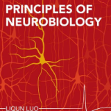 (eBook PDF)Principles of Neurobiology - Liqun Luo by  Liqun Luo  Garland Science; 1 edition (July 10, 2015)