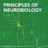 (eBook PDF)Principles of Neurobiology by Liqun Luo
