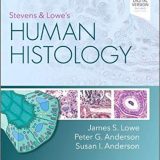 (eBook PDF)Stevens & Lowe's Human Histology 5th Edition by James S. Lowe BMedSci BMBS DM FRCPath , Peter G. Anderson DVM PhD , Susan I. Anderson BSc M Med Sc PhD