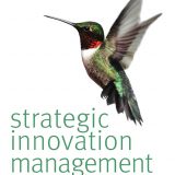 (eBook PDF)Strategic Innovation Management 1st Edition by Joe Tidd,John Bessant