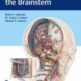 (eBook PDF)Surgery of the Brainstem by Robert F. Spetzler , M. Yashar S. Kalani , Michael Lawton