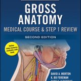 (eBook PDF)The Big Picture: Gross Anatomy, Medical Course and Step 1 Review, Second Edition by David A. Morton, K. Bo Foreman, Kurt H. Albertine