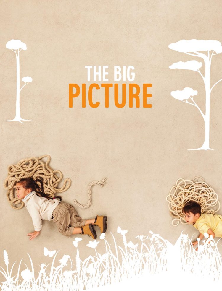 (eBook PDF)The Big Picture with Online Study Tools 4th Edition by Karen Kearns