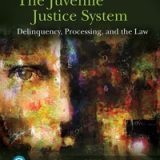 (eBook PDF)The Juvenile Justice System: Delinquency, Processing, and the Law (9th Edition) by Alida V. Merlo,Peter J Benekos,Dean J Champion