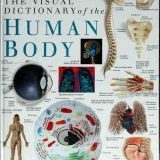 (eBook PDF)Theory and Practice of Group Counseling 12th Edition  by Gerald Corey