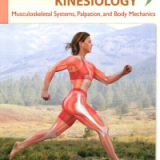 (eBook PDF)Therapeutic Kinesiology: Musculoskeletal Systems, Palpation, and Body Mechanics by Mary Ann Foster